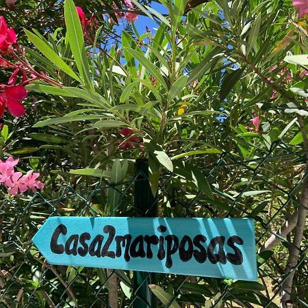 Вілла Casa 2Mariposas Міхас Екстер'єр фото